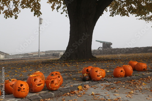 halloween pumpkin and pumpkins