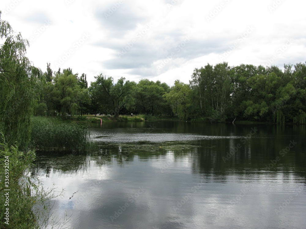 Fototapeta premium Staw