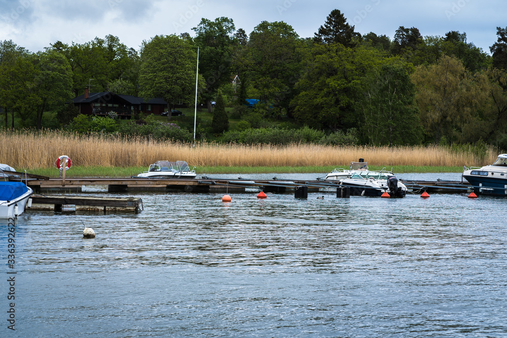 Obraz premium view from the water to the shore, boat moorings with boats, coastal reeds, large trees on the hilly shore, summer day