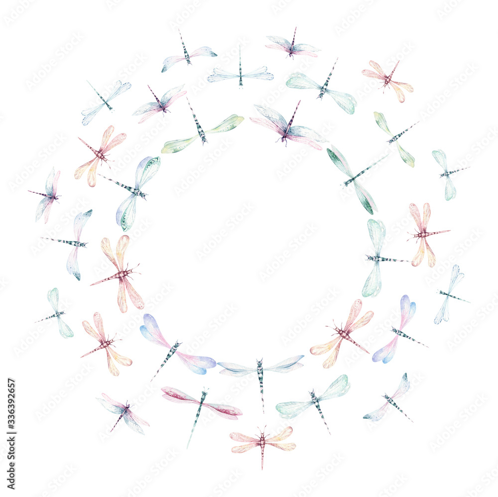 Watercolor wreath invitation fly dragonfly spring wings illustration summer insect collection of bees and wreath dragonflies Watercolor wreath invitation fly dragonfly spring wings illustration summer insect collection of bees and wreath dragonflies