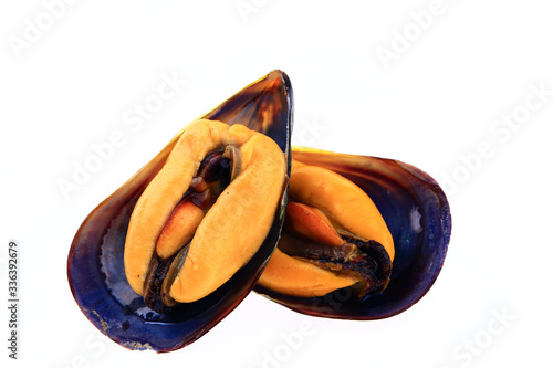 Mussels on a white background photo