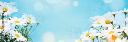 Spring background with blossom