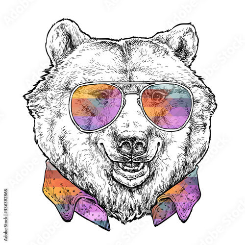 Hand drawn portrait of funny Grizzly Bear in glasses. Vector illustration isolated on white