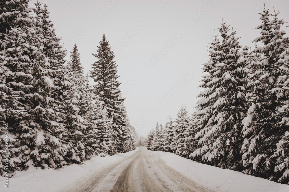 Obraz premium Snowy mountain road