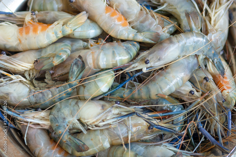 Fresh river prawn grilled on large dishes Local food. Cooking at home. selective focus. Big shrimps. Fresh river prawn grilled on large dishes Local food. Cooking at home. selective focus. Big shrimps.