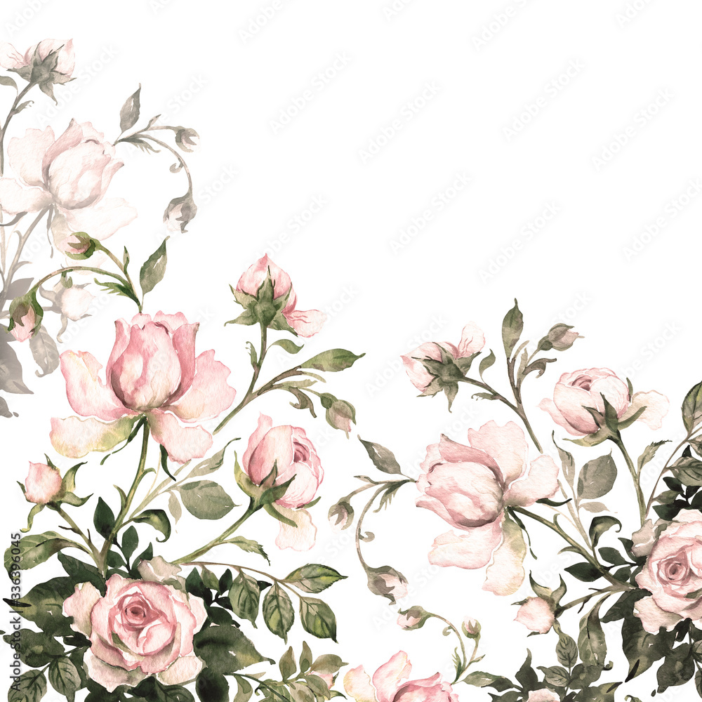 Fototapeta premium Watercolor background branch delicate roses