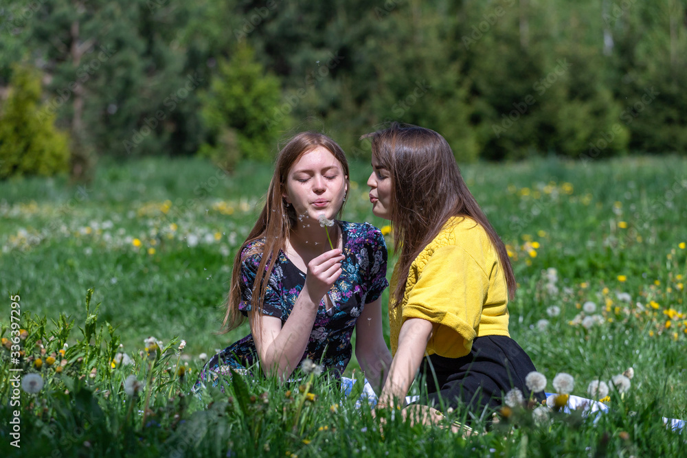 Fototapeta premium Young girls have fun time in the park. Girl blowing on fluffy dandelion flower. Happy sisters are enjoying a warm spring day