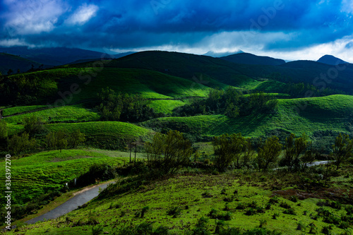 mountain landscapes ,vagamon,Kerala