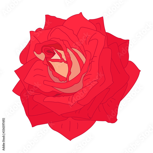 vector rose flower clip art on white isolated background