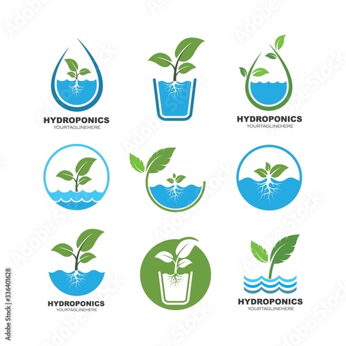 hydroponics logo vector illustration design photo