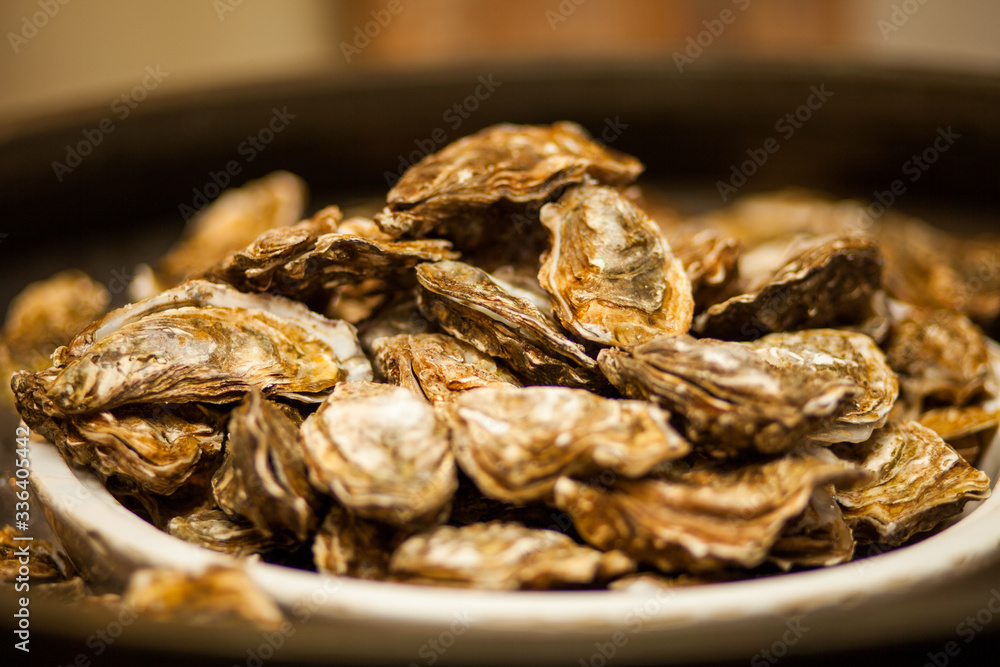 Healthy sea food, fresh Oysters gourmet close-up on white plate served in a restaurant Healthy sea food, fresh Oysters gourmet close-up on white plate served in a restaurant