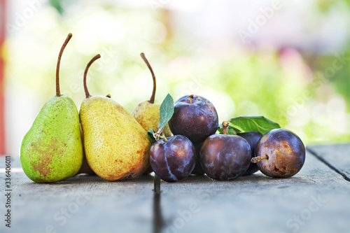 Blue plums yellow green pears on wooden table. Natural organic fruits harvest still life photo. Shallow depth of field