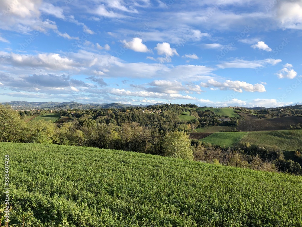 Obraz premium green field and blue sky