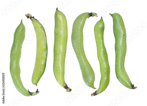 six fava beans photo