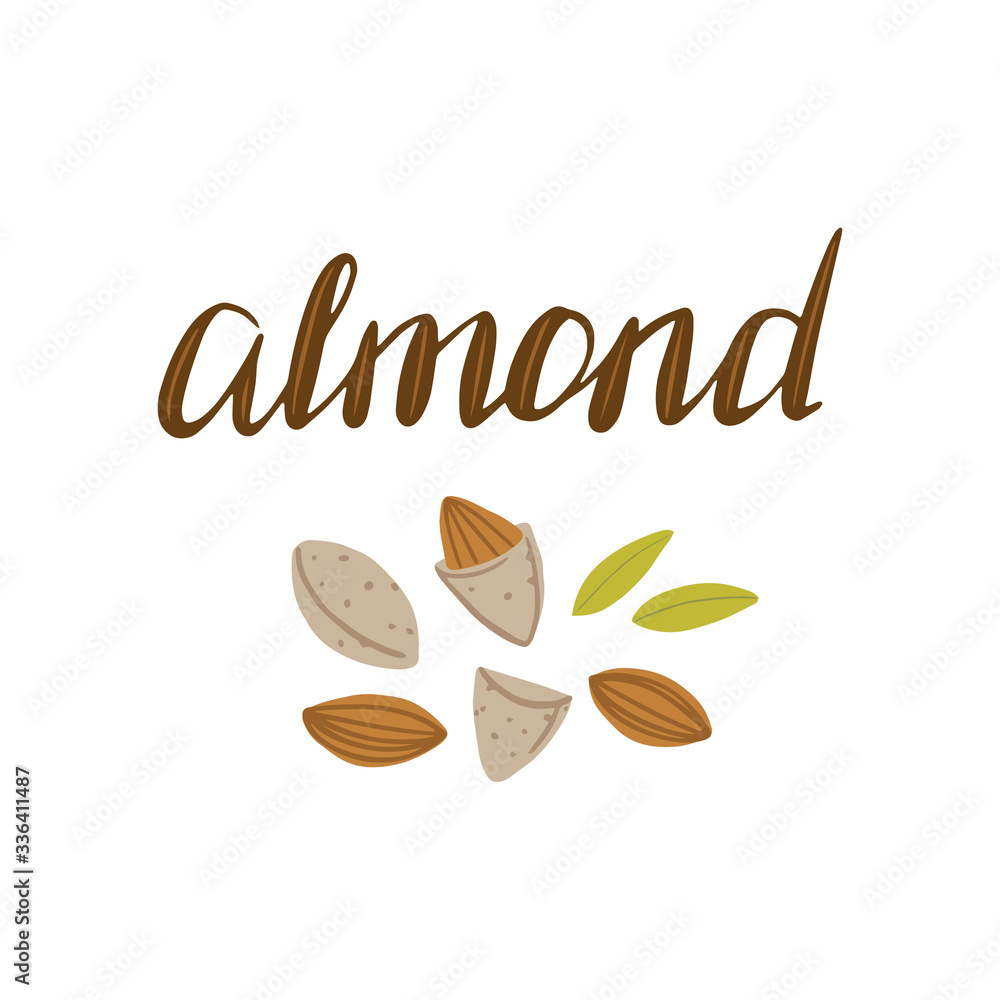 ALMOND lettering with illustration of almonds on white background. Vector illustration. Template for packaging design, print design, postcard, banner, label, poster, ALMOND lettering with illustration of almonds on white background. Vector illustration. Template for packaging design, print design, postcard, banner, label, poster,