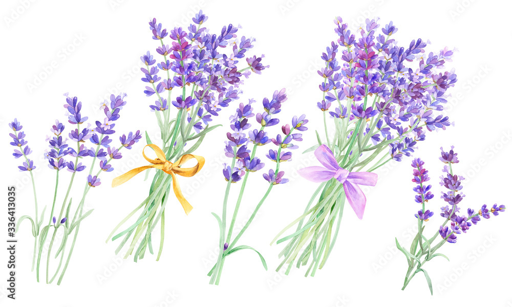 Obraz premium Lavender bouquet on an isolated white background, watercolor illustration of lavender, hand drawing. Stock illustration for design, invitations, greeting cards, postcards, pattern.