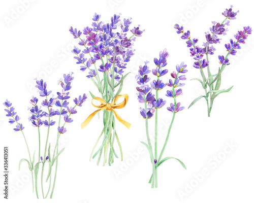 Lavender bouquet on an isolated white background, watercolor illustration of lavender, hand drawing. Stock illustration for design, invitations, greeting cards, postcards, pattern.