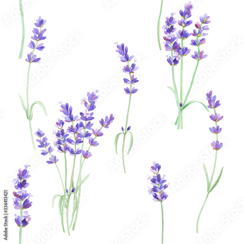 Fototapeta Naklejka Na Ścianę i Meble -  Watercolor pattern with lavender on isolated white background, watercolor hand drawing. Fabric wallpaper print texture. Stock illustration.