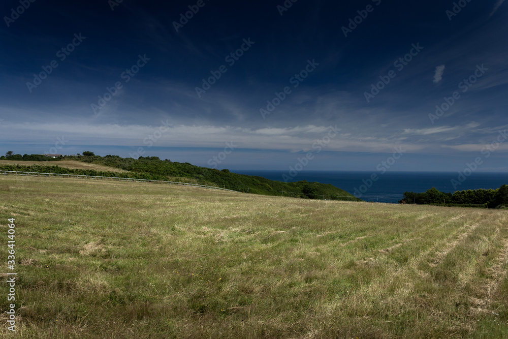 The Channel Islands in summer with good weather and greenery The Channel Islands in summer with good weather and greenery
