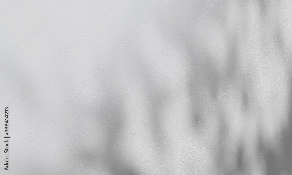 Abstract Shadows, blurred background of gray leaves and natural trees that reflect concrete walls, fallen branches on white wall surfaces for blurred backgrounds and black and white wallpapers. Abstract Shadows, blurred background of gray leaves and natural trees that reflect concrete walls, fallen branches on white wall surfaces for blurred backgrounds and black and white wallpapers.