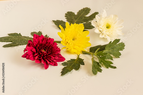 bouquet of yellow ,white and red chrysanthemum on white background