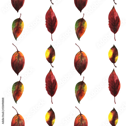 Seamless pattern with autumn leaves on an isolated white background,  watercolor drawing.