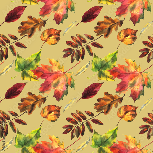 Seamless pattern with autumn leaves, maple, oak, watercolor drawing.