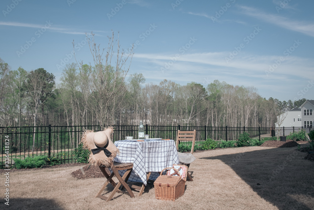 Backyard picnic on weekend in spring