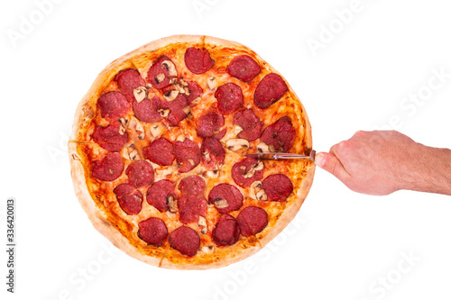 Salami pizza with mushrooms, hand cutting pizza, top view, isolated on white