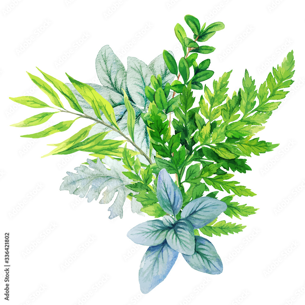 Fototapeta premium Greenery decorative bouquet, composed of fresh green leaves