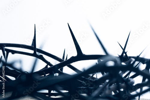 Crown of thorns on a white background