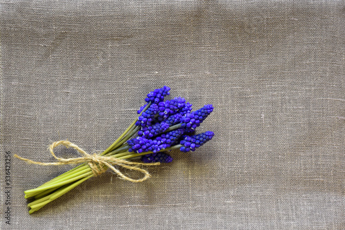 Little delicate bouquet of bright spring flowers tied with twine lies on gray fabric. Bouquet of Grape Hyacinths.