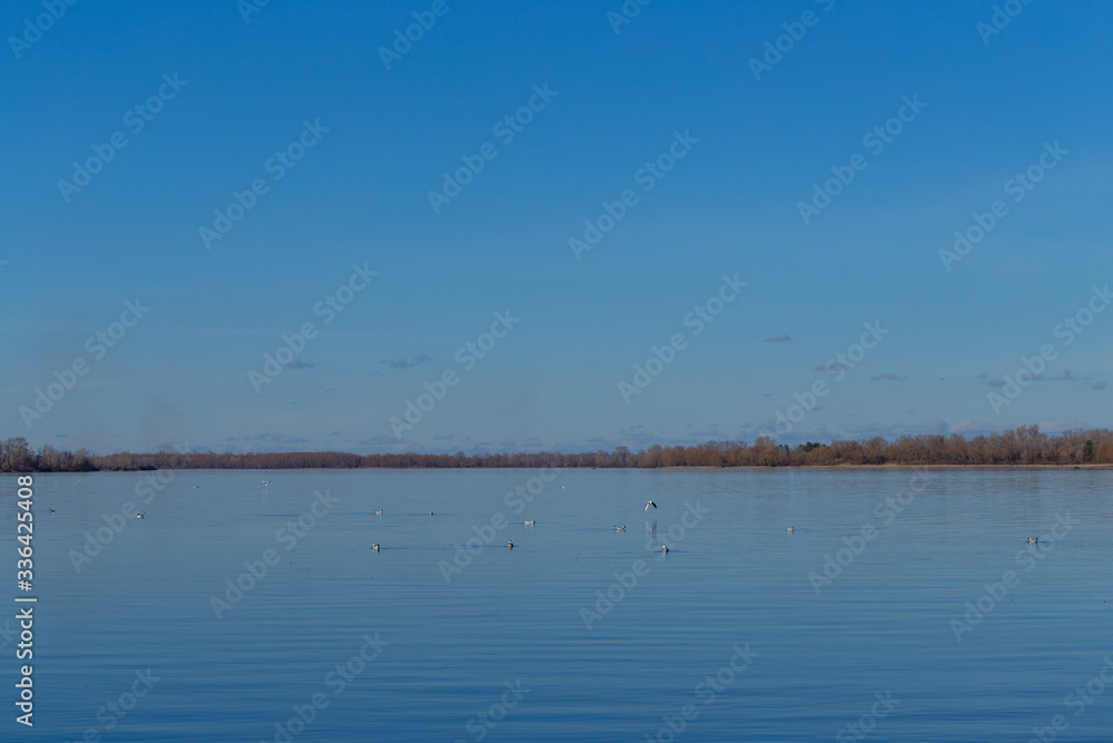a large lake with blue water and blue sky in early spring