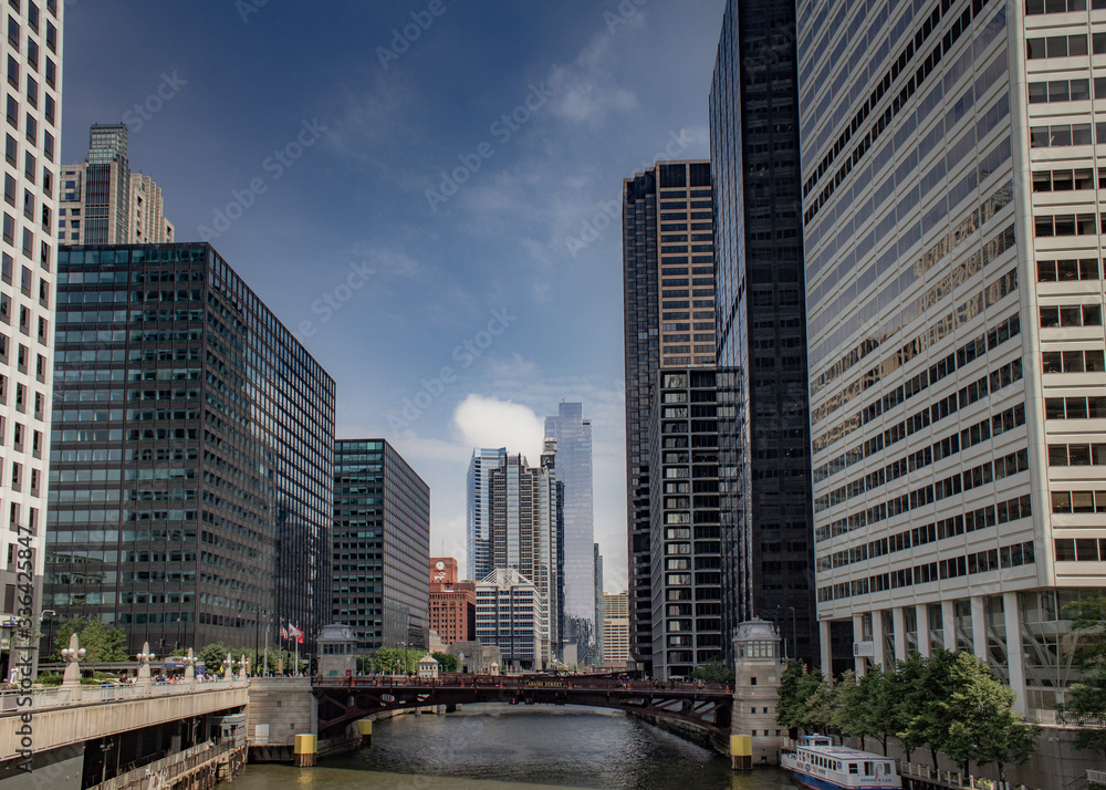 Chicago in summer with clear skies with buildings and greenery