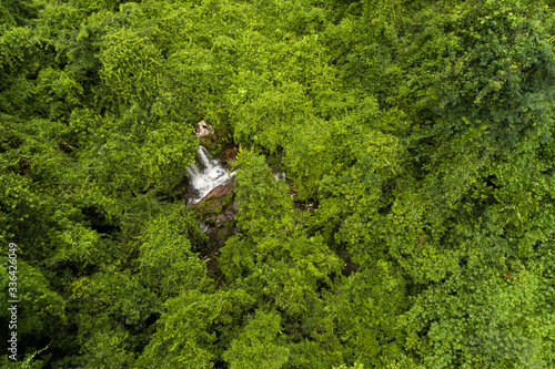 Aerial top view green forest for background