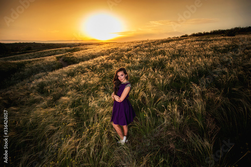 beautiful young girl in a purple dress at sunset in a field in a feather grass © Shkriabii