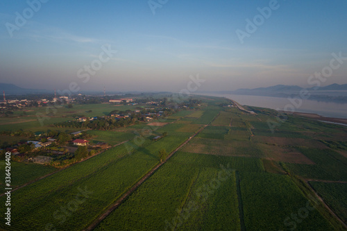 Aerial view Agriculture along the Mekong River at sunrise in Thailand