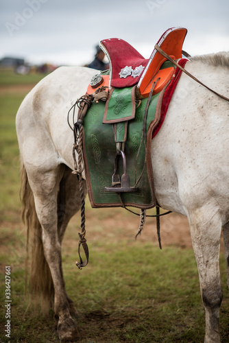 Mongolian Horse and Saddle 