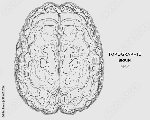 Abstract topographic map of human brain. Conceptual of creative and artificial intelligence. Futuristic forms of lines brain structure.