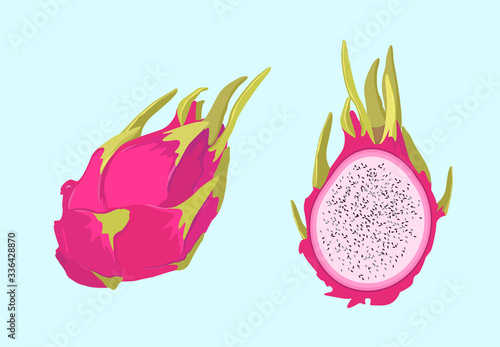Half pitahaya and dragon fruit. Fresh, summer tropical fruit with white pulp and black seeds.Vector illustration flat cartoon icon isolated on light blue background.Ideal for packaging design,menu.