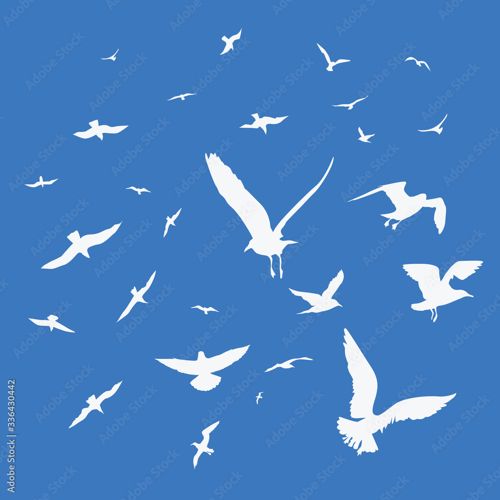Seagulls on blue background Seagulls on blue background