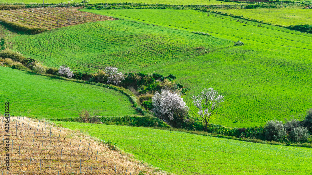 spring landscapes in Sicily, Italy