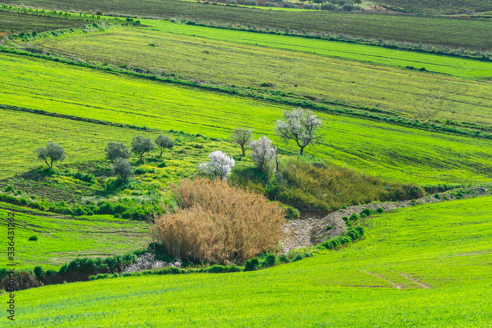 spring landscapes in Sicily, Italy