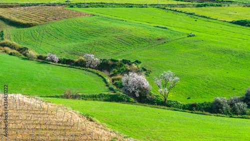 Obraz na płótnie spring landscapes in Sicily, Italy w salonie