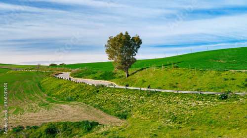 Obraz na płótnie spring landscapes in Sicily, Italy w salonie