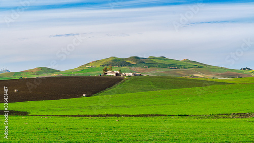 Obraz na płótnie spring landscapes in Sicily, Italy w salonie