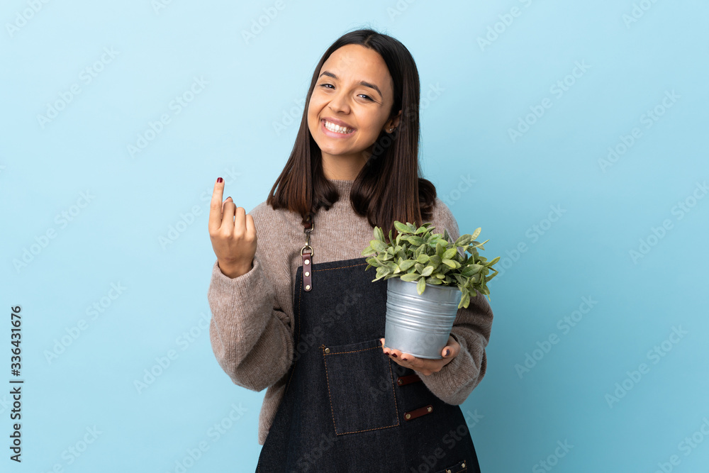 Young brunette mixed race woman holding a plant over isolated blue background doing coming gesture. Young brunette mixed race woman holding a plant over isolated blue background doing coming gesture.