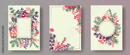 Hand drawn herb twigs, tree branches, leaves floral invitation cards collection. Herbal frames modern cards design with dandelion flowers, fern, mistletoe, olive tree leaves, savory twigs.