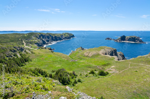 The shore of Newfoundland
