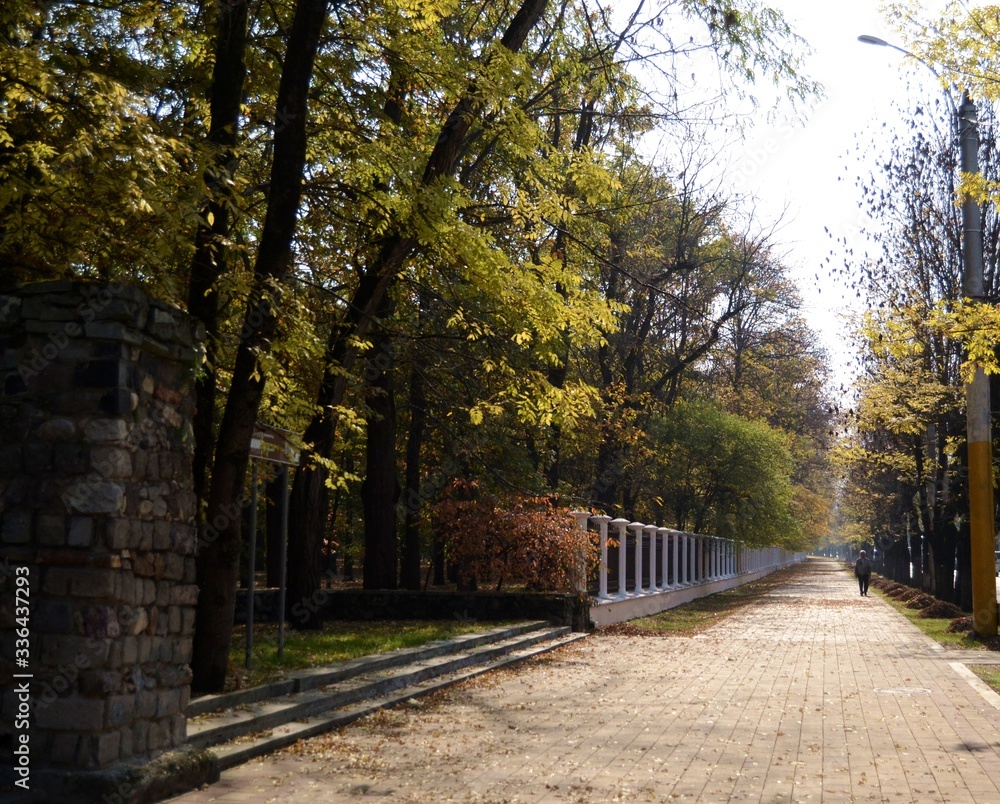 path in autumn park